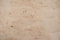 Birke Maser -Furnier (0,6mm) - 0,35m² (4Stk. x 48cm x 18cm)