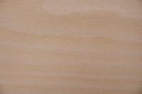 Beech, - veneer (0,6mm) - 1,08m² (24pcs. x 50cm x 9cm)