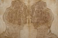 Eiche, Maser (Roseneiche) -Furnier (0,6mm) - 1,2m² (15Stk. x 42cm x 19cm)