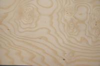 Esche Maser, weiß -Furnier (0,6mm) - 1,61m² (6Stk. x 103cm x 26cm)