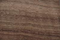 American Black Walnut, - veneer (0,6mm) - 0,43m² (30pcs. x 12cm x 12cm)