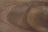 Nussbaum, europäischer -Furnier (0,9mm) - 2,75m² (16Stk. x 88cm x 19,5cm)