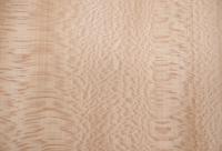 Platane -Furnier (0,6mm) - 0,71m² (22Stk. x 17cm x 19cm)