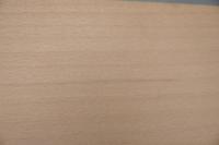 Beech, - veneer (0,6mm) - 1,06m² (24pcs. x 55cm x 8cm)