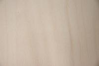 Ahorn, europäischer -Furnier (0,6mm) - 0,5m² (24Stk. x 23cm x 9cm)