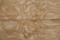 Esche Maser; oliv -Furnier (0,6mm) - 0,34m² (12Stk. x 38cm x 7,5cm)
