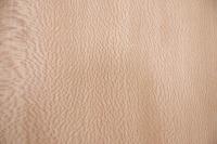 Platane -Furnier (0,6mm) - 0,48m² (20Stk. x 15cm x 16cm)