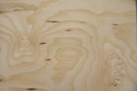 Esche Maser; oliv -Furnier (0,6mm) - 1,49m² (10Stk. x 48cm x 31cm)
