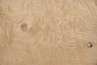 Esche Maser, weiß -Furnier (0,6mm) - 0,55m² (6Stk. x 54cm x 17cm)