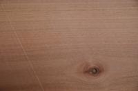 Swiss Pear, - veneer (0,6mm) - 0,24m² (16pcs. x 18cm x 8,5cm)