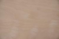Buche -Furnier (0,6mm) - 1,91m² (24Stk. x 59cm x 13,5cm)