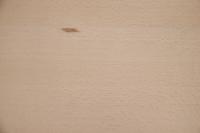 Buche -Furnier (1,4mm) - 0,49m² (8Stk. x 29cm x 21cm)
