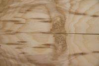 Esche Maser; oliv -Furnier (0,6mm) - 0,27m² (8Stk. x 36cm x 9,5cm)