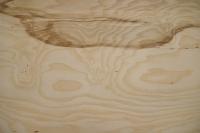 Esche Maser; oliv -Furnier (0,6mm) - 2,99m² (10Stk. x 83cm x 36cm)