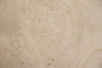 White Ash Burl, - veneer (0,6mm) - 1,98m² (11pcs. x 34cm x 53cm)