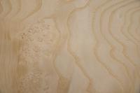 Esche Maser; oliv -Furnier (0,6mm) - 1,09m² (16Stk. x 34cm x 20cm)