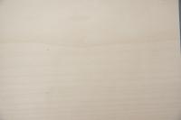 Ahorn, europäischer -Furnier (1,4mm) - 0,5m² (8Stk. x 25cm x 25cm)