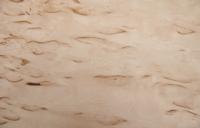 Birke Maser -Furnier (0,6mm) - 0,22m² (8Stk. x 26cm x 10,5cm)