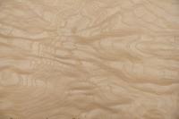 Esche Maser, weiß -Furnier (0,6mm) - 0,16m² (5Stk. x 25cm x 13cm)