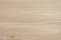 0,6mm Tulpenbaum (Whitewood) Furnier 0,43m² L 8 28 19