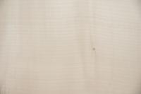 Sycamore, - veneer (1,4mm) - 0,99m² (12pcs. x 61cm x 13,5cm)