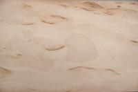 Birke Maser -Furnier (0,6mm) - 0,11m² (8Stk. x 18cm x 7,5cm)