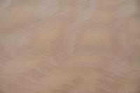 Beech, - veneer (0,6mm) - 3,9m² (24pcs. x 116cm x 14cm)