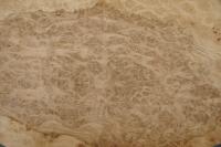 Eiche, Maser (Roseneiche) -Furnier (0,6mm) - 1,36m² (17Stk. x 38cm x 21cm)