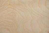 Esche Maser, weiß -Furnier (0,6mm) - 0,8m² (24Stk. x 29cm x 11,5cm)