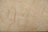 Esche Maser, weiß -Furnier (0,6mm) - 0,29m² (18Stk. x 16cm x 10cm)