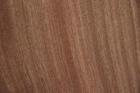Mahagoni Sapeli -Furnier (2,4mm) - 0,1m² (8Stk. x 11cm x 11,5cm)