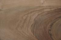 Nussbaum, europäischer -Furnier (0,9mm) - 1,46m² (16Stk. x 63cm x 14,5cm)