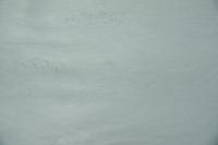 Vogelaugenahorn, türkis gefärbtes -Furnier (0,6mm) - 0,99m² (4Stk. x 95cm x 26cm)