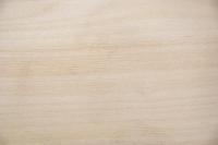 Ahorn, europäischer -Furnier (2,4mm) - 0,1m² (6Stk. x 19cm x 8,5cm)