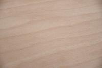 Buche -Furnier (0,6mm) - 1,56m² (24Stk. x 59cm x 11cm)