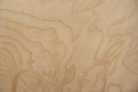 Esche Maser, weiß -Furnier (0,6mm) - 0,08m² (5Stk. x 13cm x 13cm)