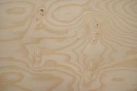 Esche Maser, weiß -Furnier (0,6mm) - 0,95m² (5Stk. x 68cm x 28cm)