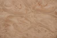 Ahorn Maser (gedämpft) -Furnier (0,6mm) - 0,65m² (24Stk. x 18cm x 15cm)