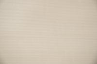 Sycamore, - veneer (1,4mm) - 1,16m² (11pcs. x 81cm x 13cm)