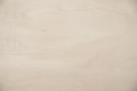 Birch, - veneer (0,6mm) - 8,74m² (24pcs. x 235cm x 15,5cm)