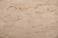 Birke Maser -Furnier (0,6mm) - 0,44m² (12Stk. x 33cm x 11cm)