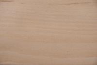 Buche -Furnier (0,6mm) - 3,35m² (24Stk. x 155cm x 9cm)