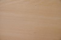 Buche -Furnier (1,4mm) - 1,45m² (12Stk. x 55cm x 22cm)