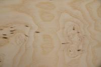 Esche Maser, weiß -Furnier (0,6mm) - 1,69m² (10Stk. x 77cm x 22cm)