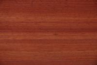 Padouk, - veneer (0,6mm) - 2,54m² (23pcs. x 79cm x 14cm)