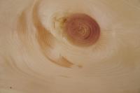 Cembra Pine; Swiss Pine, - veneer (0,9mm) - 3,19m² (16pcs. x 166cm x 12cm)