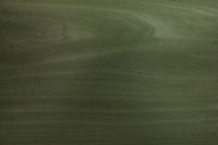 0.6mm Tulpenbaum grün gefärbtes Furnier 0.27m² P 1 105 26