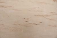 Birke Maser -Furnier (0,6mm) - 0,26m² (11Stk. x 26cm x 9cm)