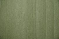 Tulipier, grün gefärbtes -Furnier (0,6mm) - 0,25m² (10Stk. x 10cm x 25cm)