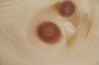 Cembra Pine; Swiss Pine, - veneer (0,9mm) - 1,9m² (16pcs. x 132cm x 9cm)